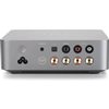 VIBELINK AMP